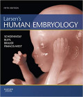 Larsen's human embryology