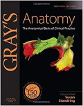 Gray's Anatomy the Anatomical Basis of Clinical Practice Fortieth Edition