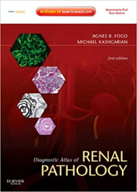 Diagnostic atlas of renal pathology