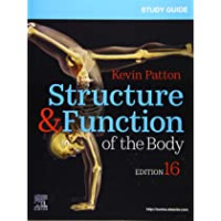 Structure & Function of the Body