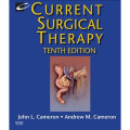 Current surgical therapy