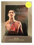 Human Anatomy 4th Edition