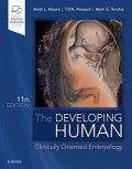 The Developing Human: Clinically Oriented Embryology 11th Edition