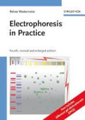 Electrophoresis in practice